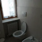 Ajarnola N14